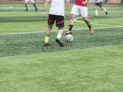 独家,周六,德甲焦点战,新葡京,新葡京app,新葡京娱乐,新普京赌场